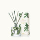 Thymes Frasier Fir Petite Pine Needle Reed Diffuser with reeds and gift box (Pine Needle)