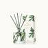 Thymes Frasier Fir Petite Pine Needle Reed Diffuser with reeds and gift box (Pine Needle)
