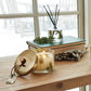 Thymes Frasier Fir Petite Pine Needle Reed Diffuser styled beside a candle (Pine Needle)