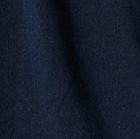 Dark Indigo