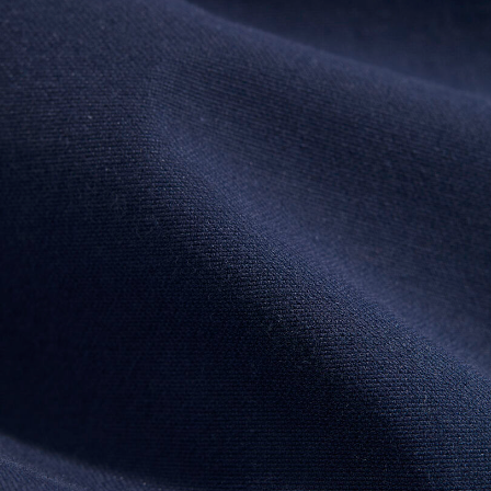 Blue Blazer