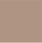 Warm Taupe