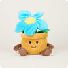Flower Pot