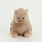 Capybara
