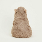 Capybara