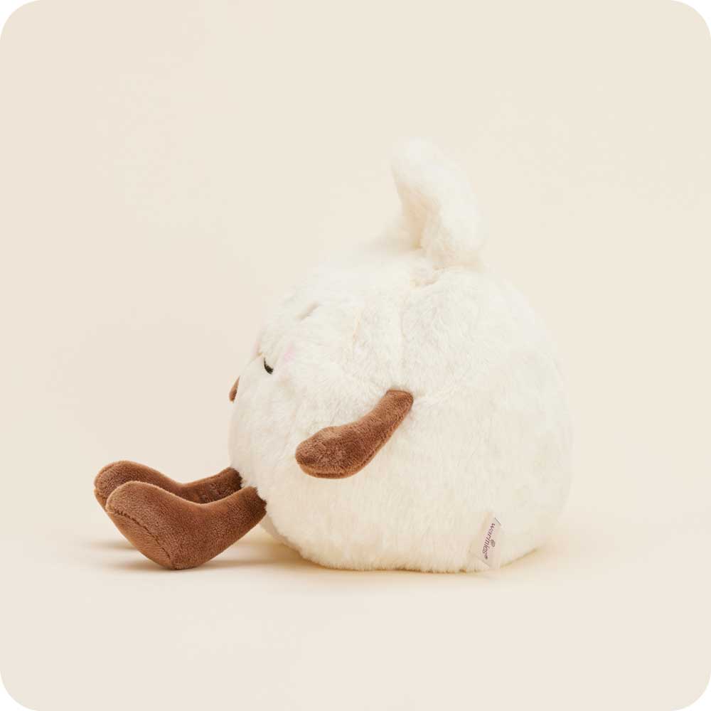 Dumpling