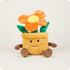 Flower Pot