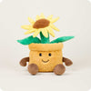 Flower Pot