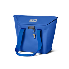 Daytrip 20L Insulated Tote Bag
