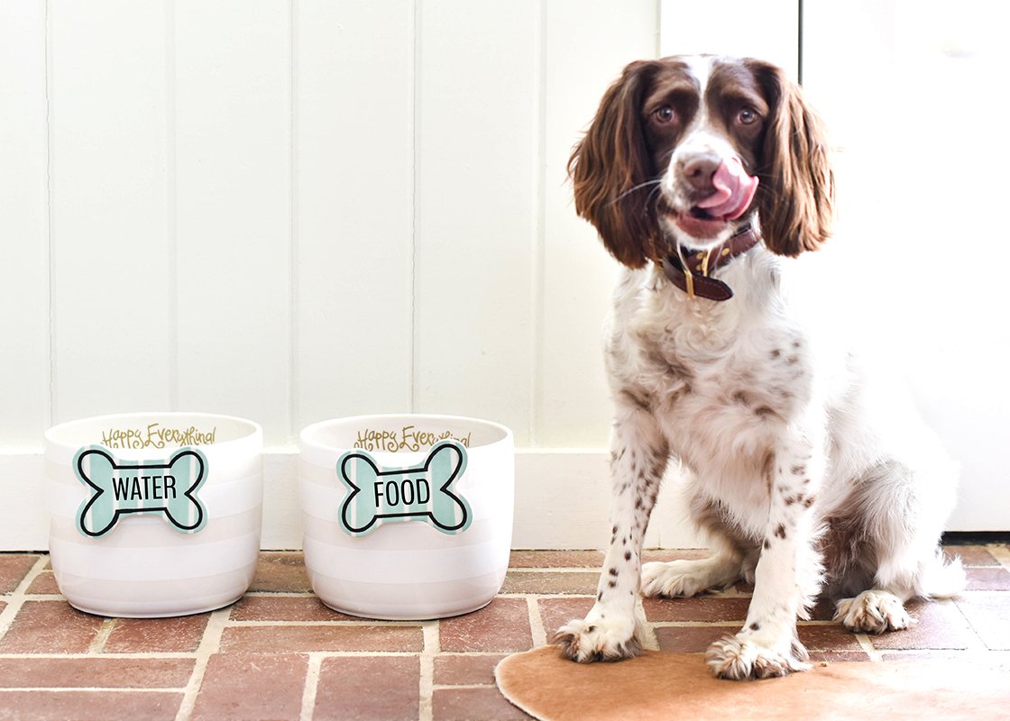 White Stripe - Mini Bowl Dog Bowl View