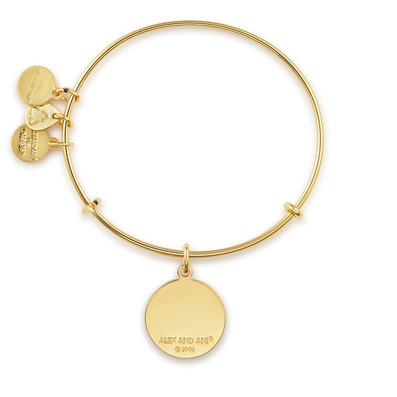 U.S. Coast Guard Charm Bangle