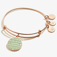 Harry Potter Quality Of Convictions Charm Bangle Gold 