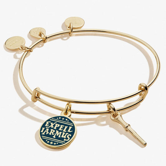 Harry Potter Expelliarmos Duo Charm Bangle Gold  800