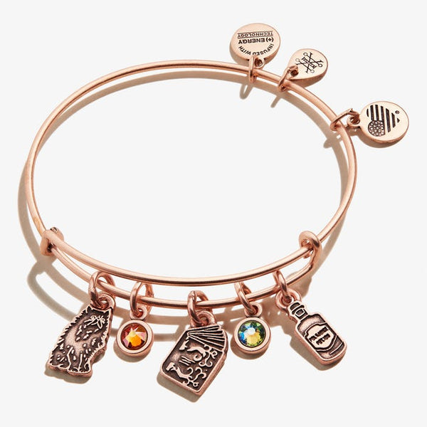 https://occasionallyyoursgifts.com/cdn/shop/products/Harry-Potter-Hermione-Multi-Charm-Bangle-RoseGold-Front-AS21EBHERMRAR_grande.jpg?v=1626203028