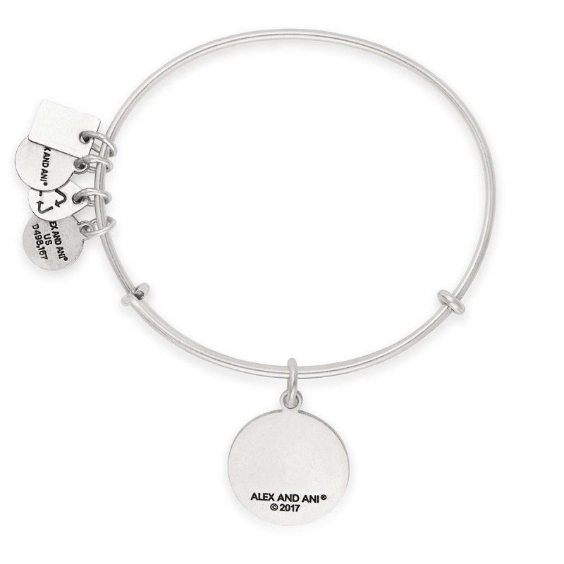 Team USA - Snowboarding Charm Bangle