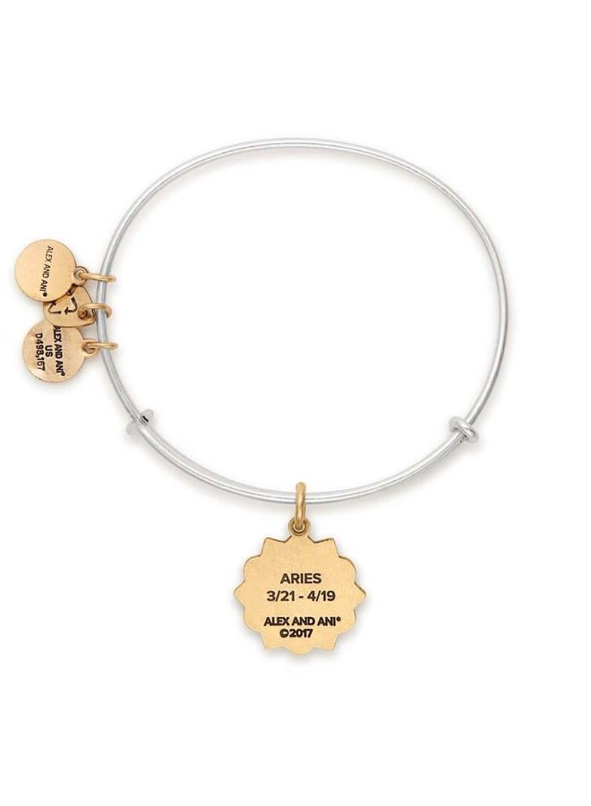 Back of Aries Charm Bangle