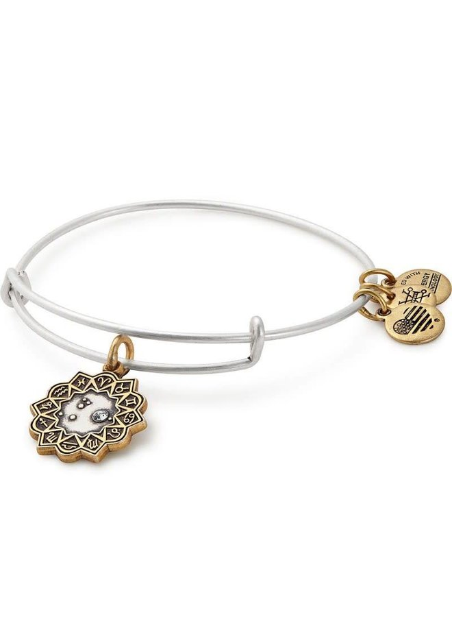 Aries Charm Bangle