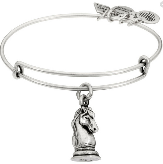 The Knight Charm Bangle Silver  629