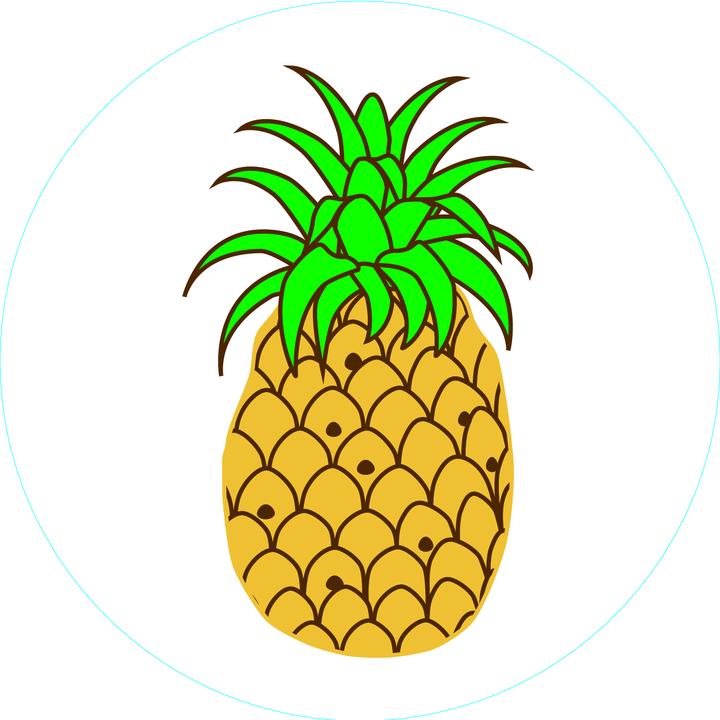 Bogg Bit - Pineapple