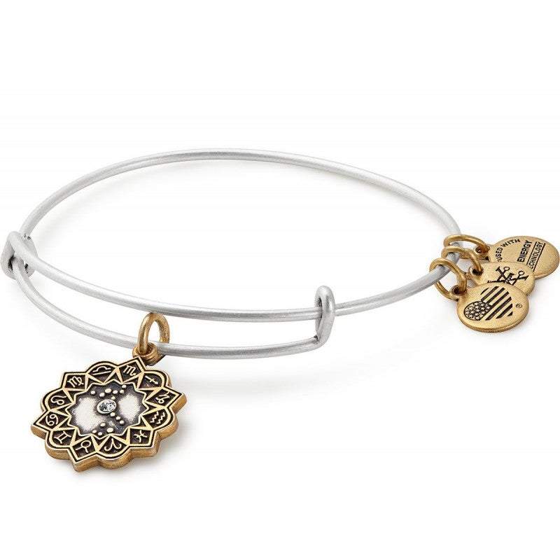 Scorpio Charm Bangle