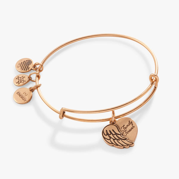 Angel Wings Charm Bracelet Bangle Gold | Alex and Ani