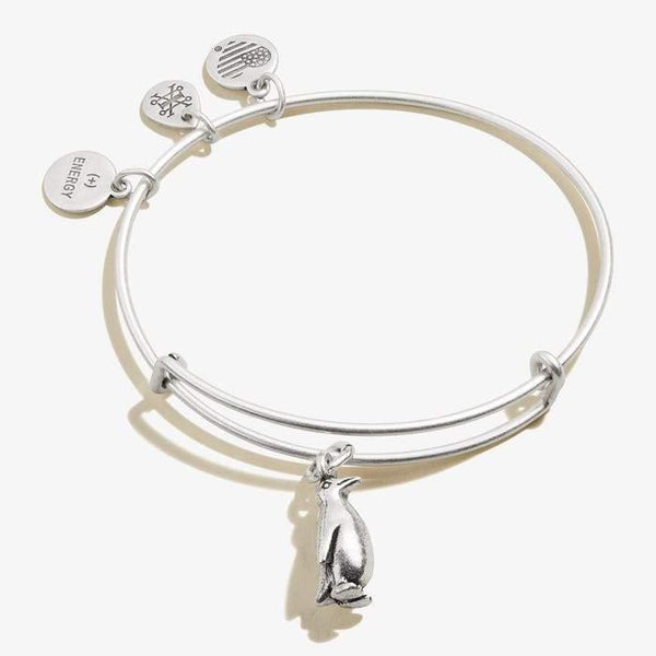 Alex and store ani pet bracelet